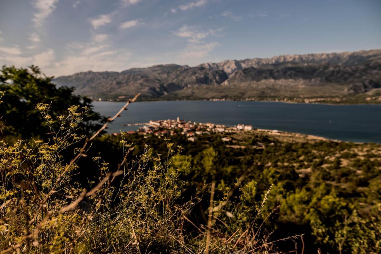 La Familia, Zadar, Vinjerac Villa Kültér fotó